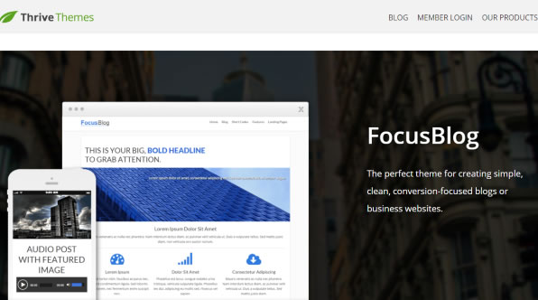 Focusblog theme